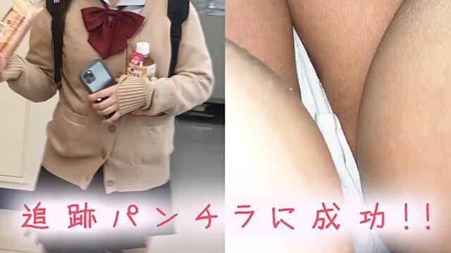【ポニテJK 追跡】必見！！食い込みパンツに興奮が止まらない！！ [145MB]