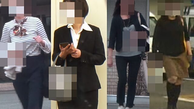 HD Japanese Toilet Style.240 OL [466MB]