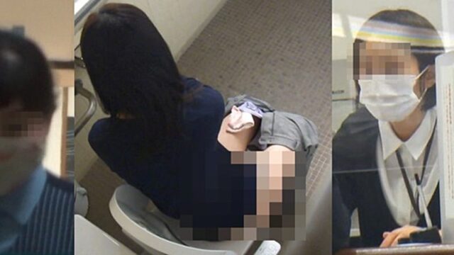 HD Japanese Toilet Style.241 OL [296MB]