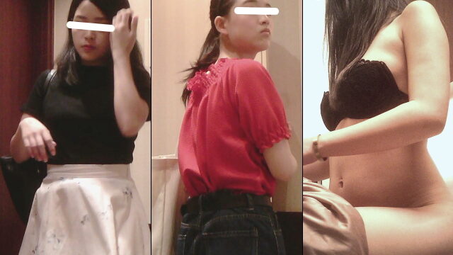 女子トイレ紀行 No.05 えっ！そんなに脱いじゃうの!?/全員外撮り5名収録！