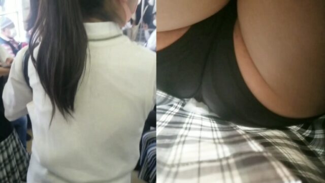 限定緑チェック