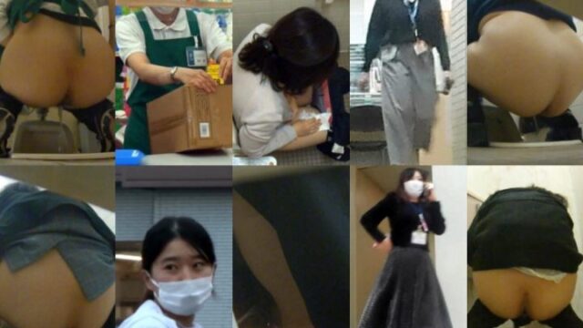 JTSHD289 HD Japanese Toilet Style.289
