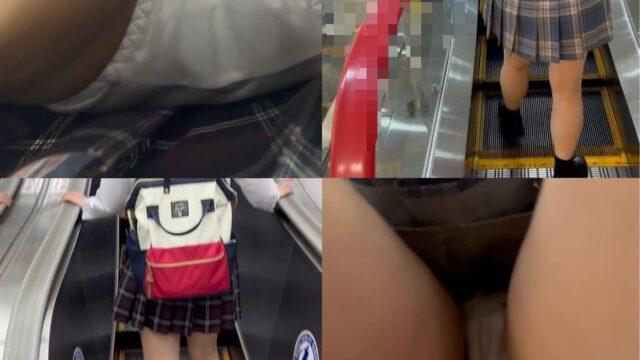 エスカ鳥vol.15 クソミニ青チェと赤チェのダブル白生P