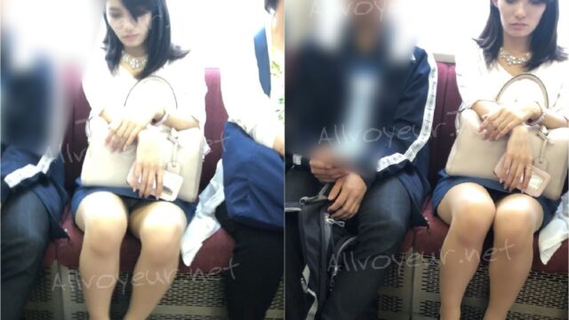 再会OLのスト越し白パンティ-電車対面パンチラ2019A&W29プラス(顔出し期間限定再販版)
