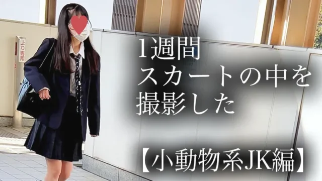 4K【5日間連続で逆さ撮り】小動物系JK編 [2GB]