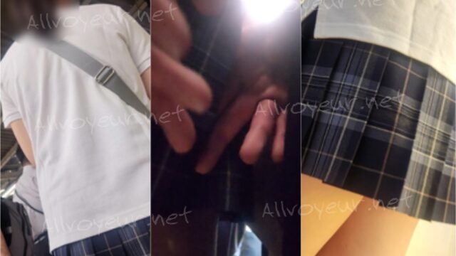 痴かん狂信者 #35【★2】 超絶美脚少女を満員電車でお触り 。手に汗握る攻防。