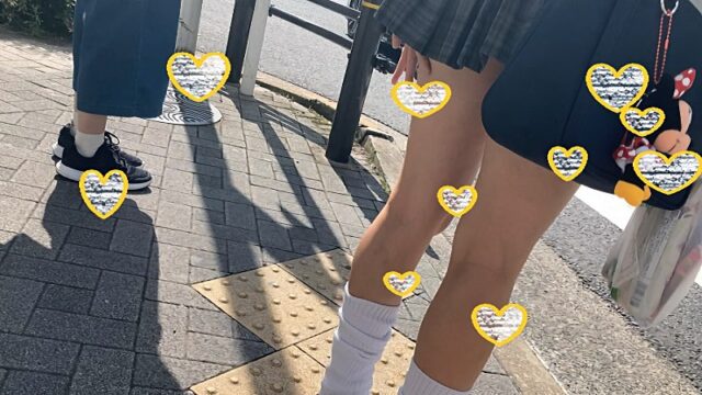 田奈JK 粘着 未公開 【大迫力4K映像】ギャルJKとルーズソックスと生Pのトリプルえっちっち盗撮 [1.1GB]
