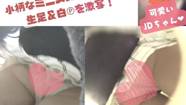 【動画シリーズ♯004】小柄なミニスカJDちゃん❤生足＆白Ⓟを激写！
