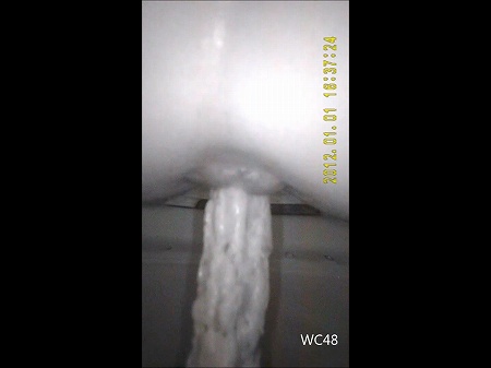 大学の洋式トイレを便器内から盗撮①