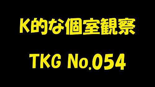 K-Style Private Room Observation TKG No. 054