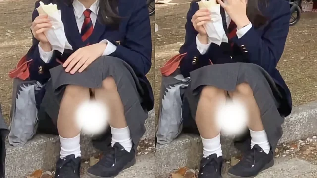 【Full HD】妄想vol.201「おしとやかさを感じる内股M字常時チラ…」 [380MB]
