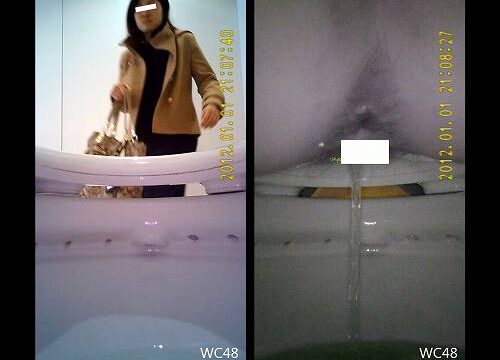大学の洋式トイレを便器内から盗撮②
