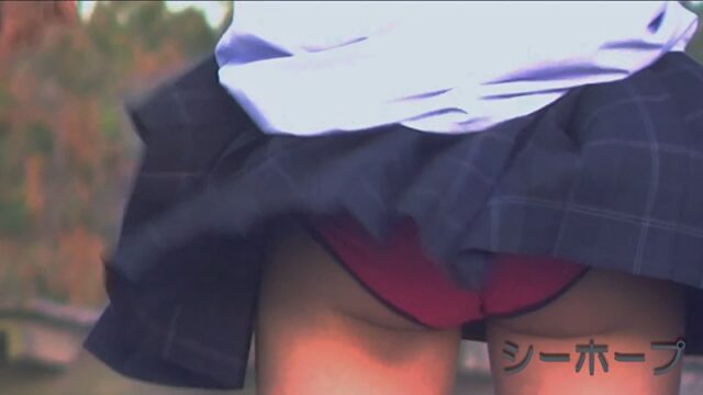 海辺の風景02 パンツの景色07 制服だけど【お顔あり】 [471MB]