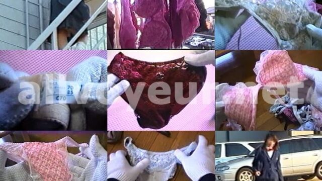 下着泥棒 vol.2
