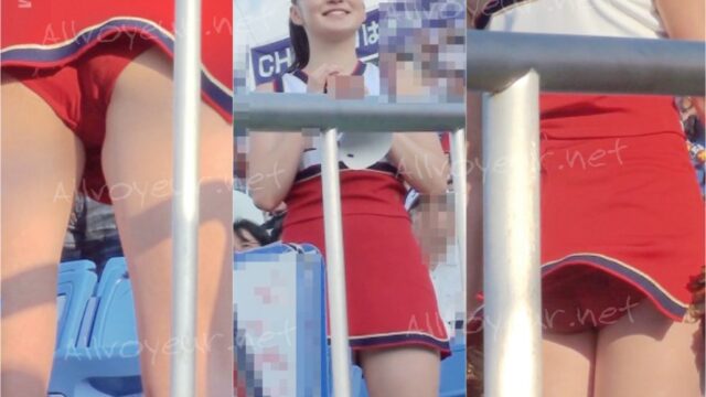 【再販】Cheer627