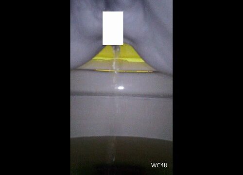 某大学の洋式トイレの便器内を前から盗撮①