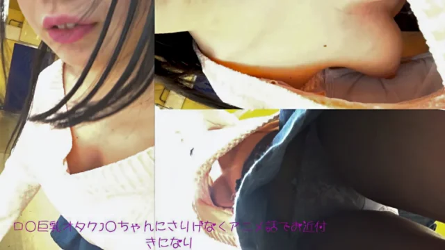 巨乳ロ●っ娘オタクJ●!!胸チラ・乳首チラ・パンチラGET!! [1.2GB]