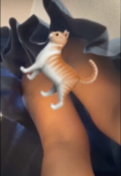 校内 さかさ