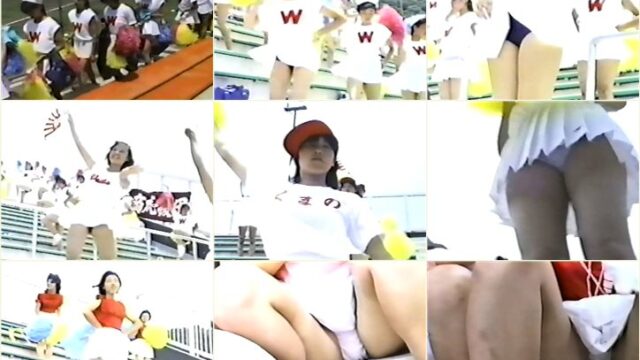 突撃チアマン秘蔵FIIE！野球編 No.17