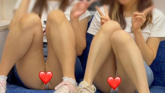 JD盗撮日記21 あの超仲良し二人組が私服で登場！ペアルックミニスカデニムJDを電車内とトイレ内で盗撮【※完全主観27分超撮影】