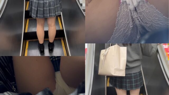 エスカ鳥　vol.10 グレチェ白生Pと激カワKのレース生P