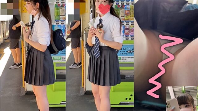 【リンネ盗撮日記3】お嬢様に急接近 [1GB]
