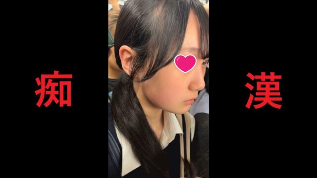 日本の車窓から【本日の混み具合】EP４５