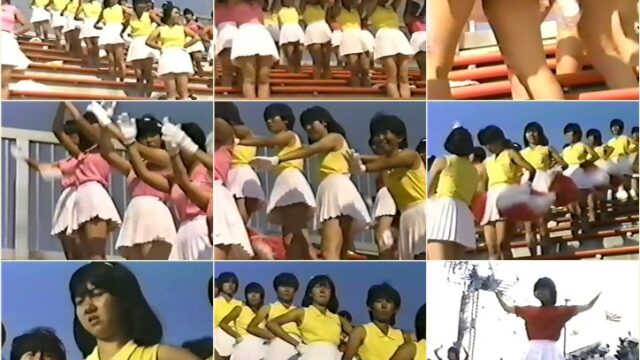 突撃チアマン秘蔵FIIE！野球編 No.18