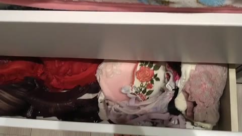 24才お姉さんから下着タンスと洗濯機の中を見せて頂きました！