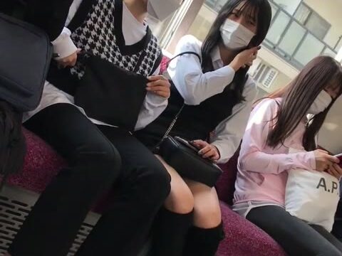 容姿が素晴らしい女良電車内至近距離視姦＾＾