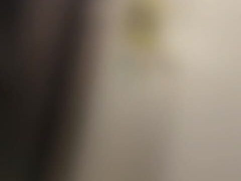 【裏入手03】ホテル侵入痴カン／ひとり旅に来ていた美乳地方女子大生（〇×市ホテルI）