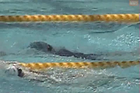 競泳大会6　競泳水着