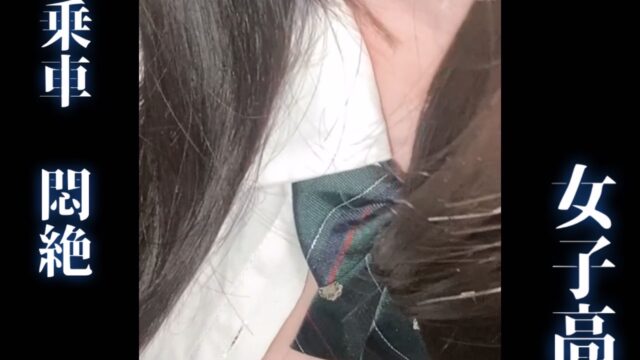 【満員乗車】巨乳優等生jkを圧迫パイ揉みお触り~されるがままで青春にトラウマを与える~