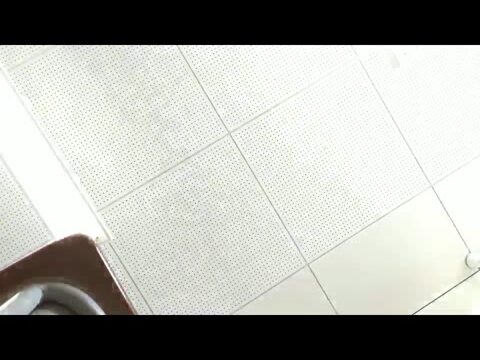 ポニーテール&ロングの子