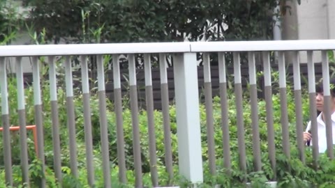 パンチラスクープ【オヤジとラブホinするＪＫのパンツ密着】