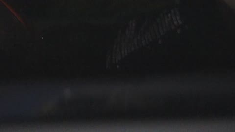 女子大生が尻の肉を鷲掴みにされながら、シックスナインで咥えてる