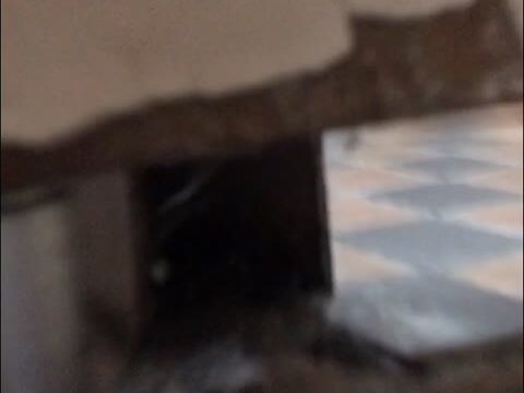 （無）美人アパレル店員のおっぴろげマ○コ