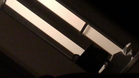 ママのオ◯ンコをとにかく指でいじるいじる。香りまで伝わる止めどなく溢れ出す愛液に興奮。