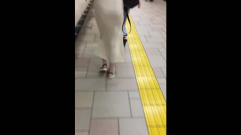 No.282「間違いなくモデルでしょ！？　最強スタイルの美女」