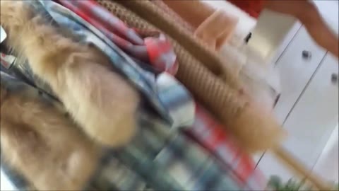 美巨乳カワイイ店員の胸チラしっぱなし