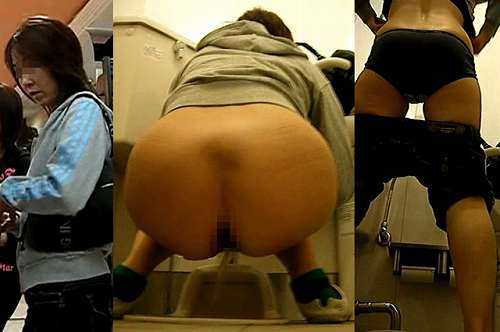 Japanese toilet style.No213