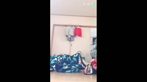パンチラ26