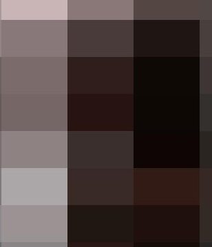 トイレ安らぎ65、風さんの押し出し【お得版】