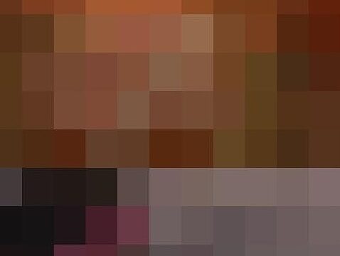 トイレ安らぎ番外編、帰ってきた風さんたち