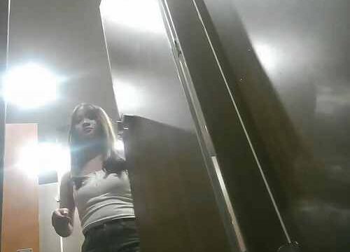 Asian toilet voyeur 1100