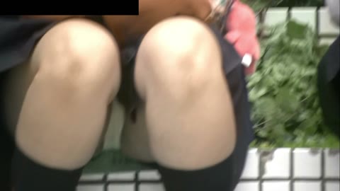 たまらん制服J◯お座りパンチラしっぱなし