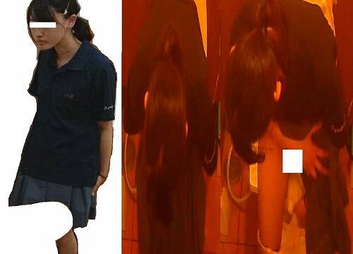 トイレ安らぎ㉔、Ｋ風スカートひらり