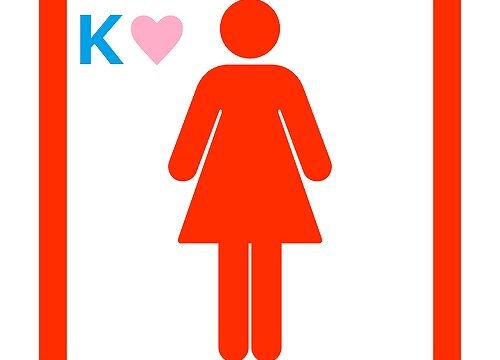 【お宝発見】大型ショッピングセンター♥Kトイレ盗撮