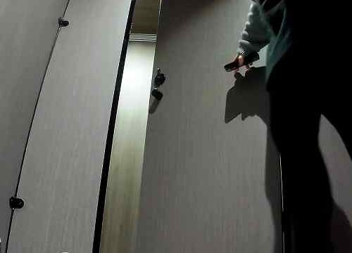 Asian toilet voyeur 1500