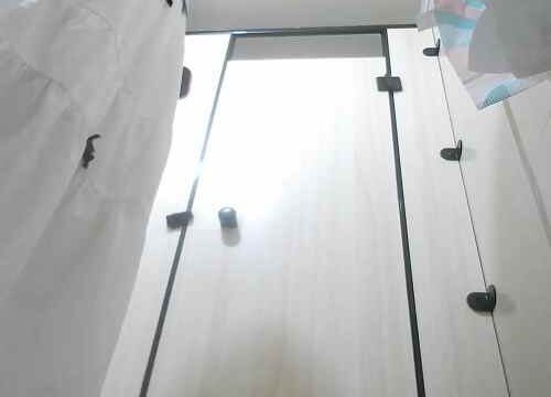 Asian toilet voyeur 1541